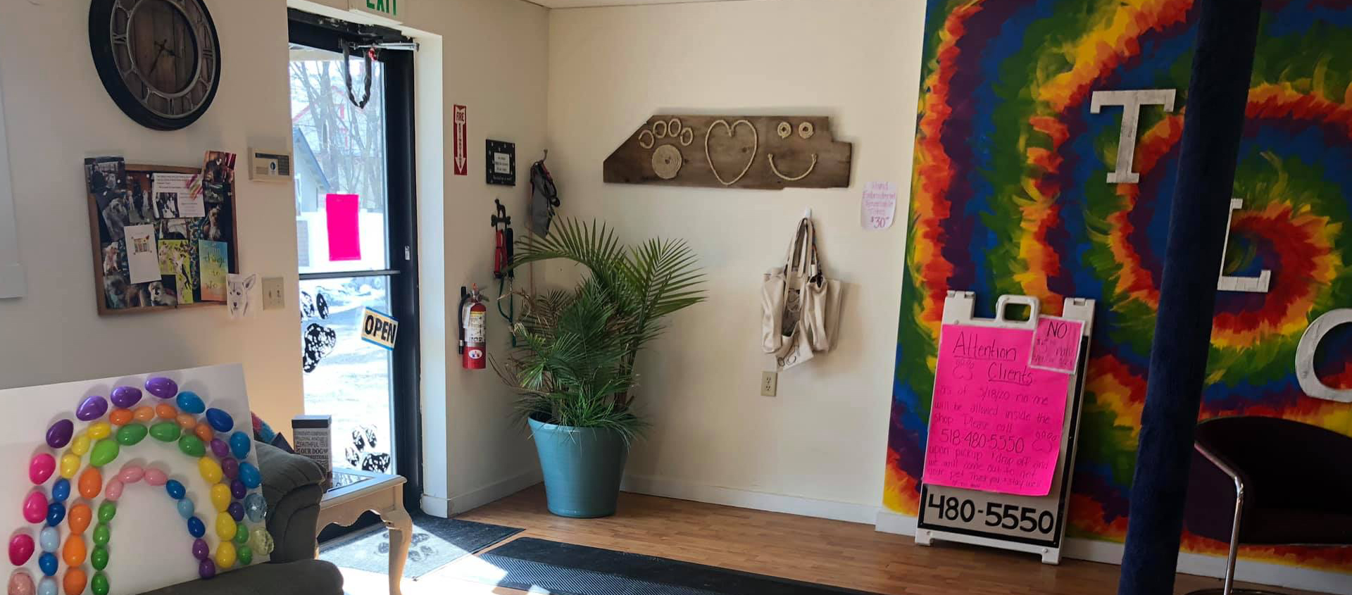 Experienced Pet Grooming